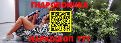 крисы Балаково