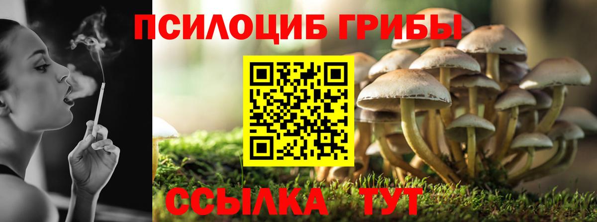 Галлюциногенные грибы прущие грибы Вышний Волочёк